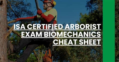 how hard is the arborist test|free certified arborist practice exam.